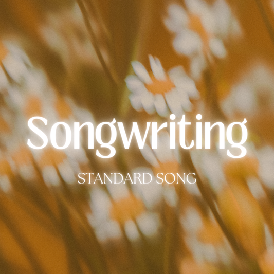 Custom Lyrics & Songwriting [STANDARD SONG - X2 VERSES + CHORUS]